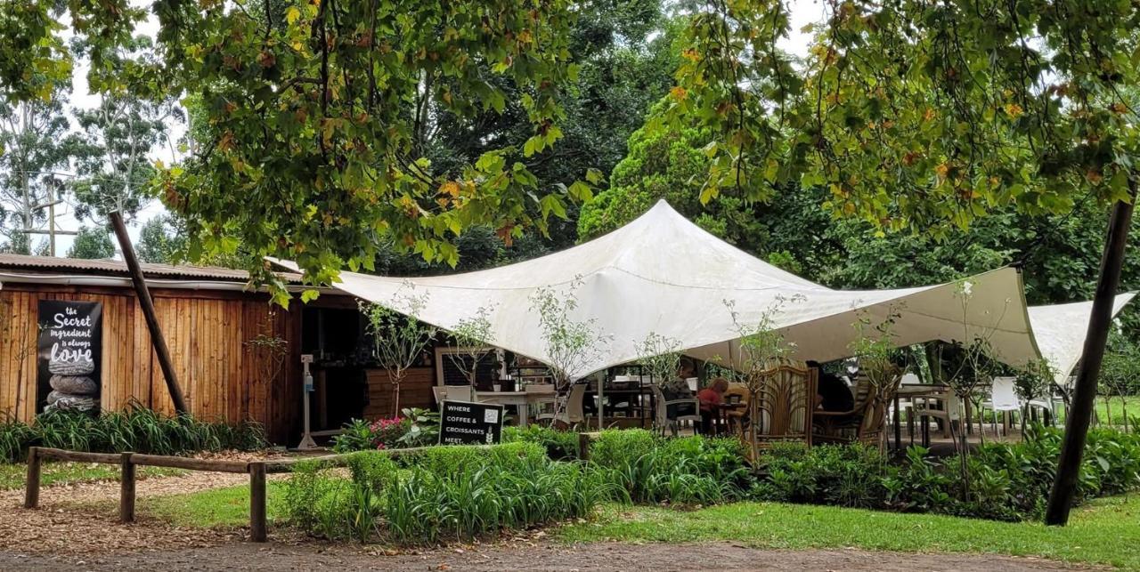 Caladdi Bed And Breakfast Durban Kültér fotó