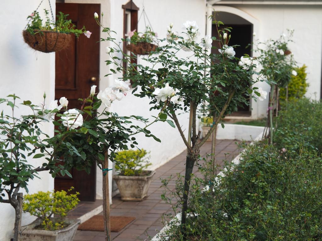 Caladdi Bed And Breakfast Durban Kültér fotó