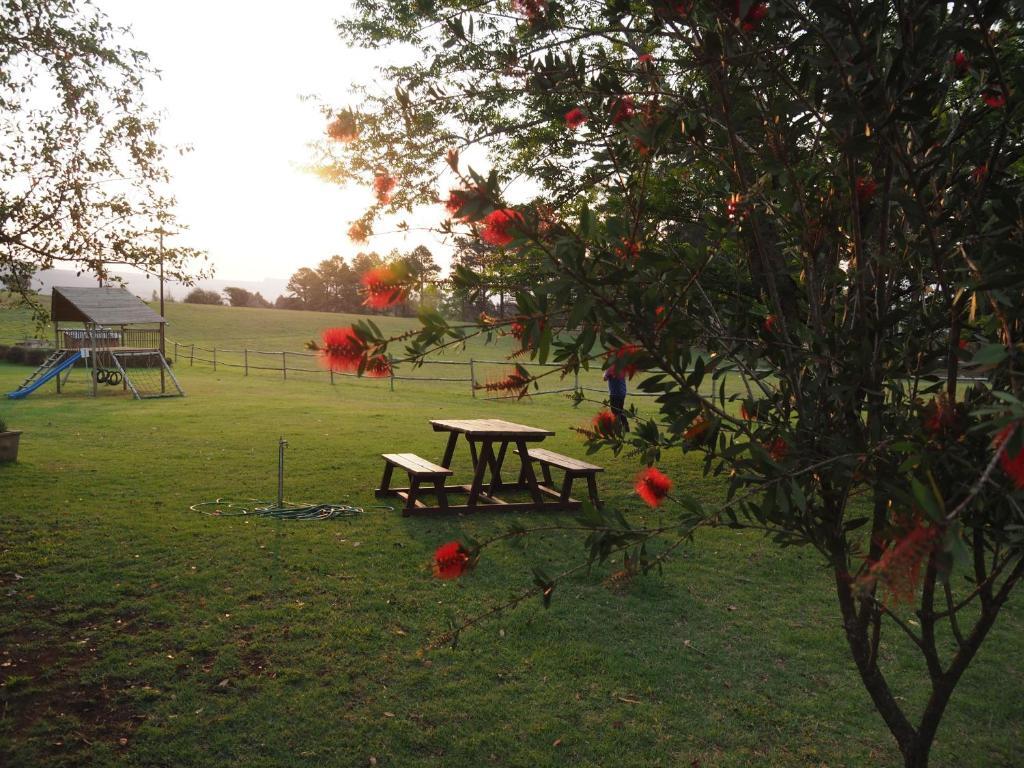 Caladdi Bed And Breakfast Durban Kültér fotó